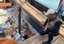 Presiden Kembali ke Aceh Pantau Penanganan Bencana