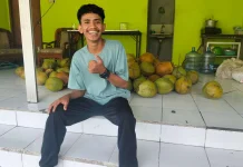Tabanan Pemasok Kelapa Dengan Kwalitas Terbaik