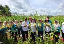 Bupati Kobar Dorong Kemandirian Pangan dari Pekarangan Rumah