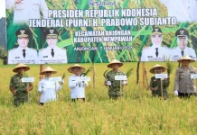 Pemprov Kalbar Targetkan Produksi Mandiri Padi