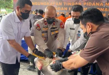 Polda Riau Musnahkan Narkotika Jaringan Lapas di Jambi