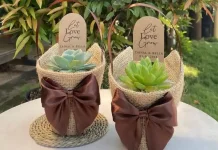 Souvenir Kaktus Mulai Digandrungi Anak Muda di Kediri