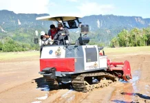 Bupati Tapteng Tinjau Langsung  Normalisasi Sungai dan Sawah 