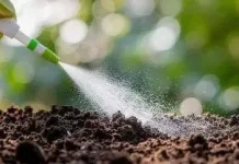 Paparan Pestisida Picu Risiko Parkinson Lebih Tinggi