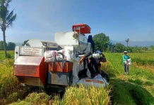 Kerugian Kasus Korupsi Mesin Pertanian KSB Diperkirakan Rp11,25 Miliar