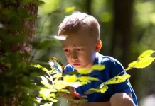 Belajar Alam, Etika Lingkungan Anak Lebih Melekat