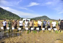 Pemulihan Sektor Pertanian Aceh Sumut Sumbar, Kementan Gelontorkan Rp 60 M