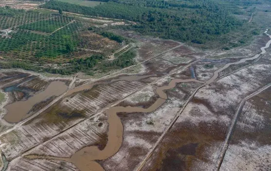 Musibah, Peringatan Kerusakan Lingkungan