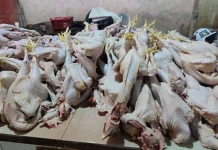 Cek Informasi Harga Daging Ayam Di Pasar Wamanggu 