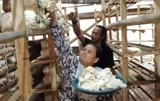 Kisah Solihah: Memanfaatkan Ruang Sempit Menjadi Cuan