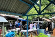 Polda NTT Komitmen Perlindungan Anak dan  Kelompok Rentan