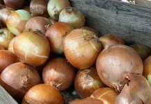 Bumbu Dapur dengan Segudang Manfaat Kesehatan