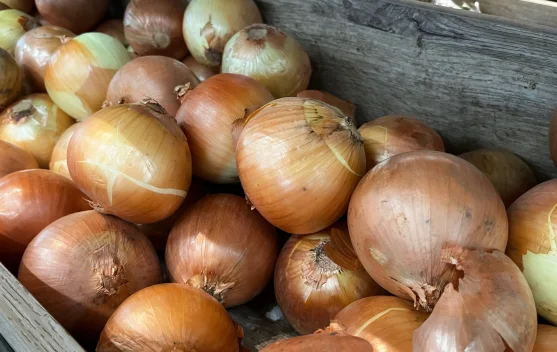 Bumbu Dapur dengan Segudang Manfaat Kesehatan