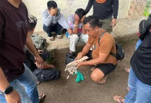 Ungkap Ganja 105 Gram, Dua Pelajar Diamankan Polisi