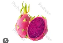 Fakta Ilmiah Dibalik Warna Ungu Pada Buah Naga