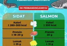 Sidat vs Salmon: Siapa Juara Omega-3?