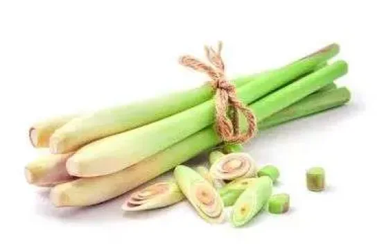 Manfaat Sereh Untuk Kesehatan Laki-Laki