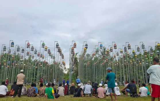 Liga Perkutut di Kabupaten Sumenep