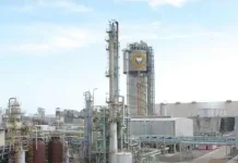 Pabrik Pupuk di Papua,Tingkatkan Akses Produktivitas Pertanian