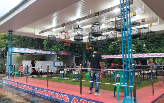 Salurkan Hobi Masyarakat Dengan Gelaran Lomba Kicau Mania