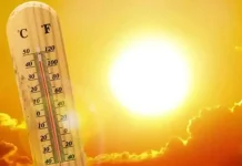 Lima Cara Tetap Sehat Menghadapi Cuaca Panas