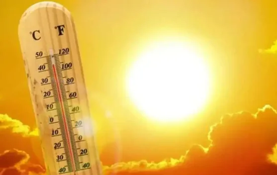 Lima Cara Tetap Sehat Menghadapi Cuaca Panas