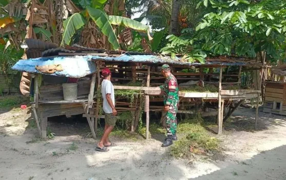 Sertu Firman Sihotang Pantau PMK Ternak Mandau