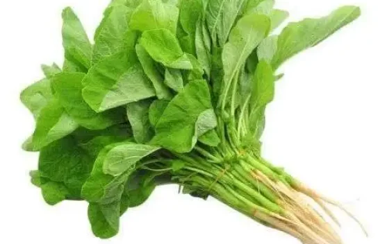 Waspada Makanan Pemicu Batu Ginjal Anak