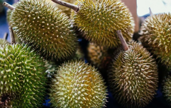 Nikmat namun Berisiko, Ini Batas Aman Makan Durian