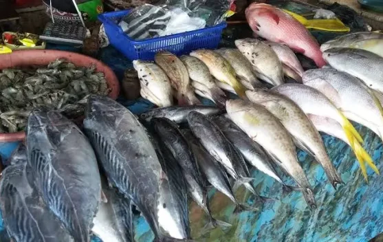 Kolesterol Tinggi, Pilih Ikan Laut atau Tawar