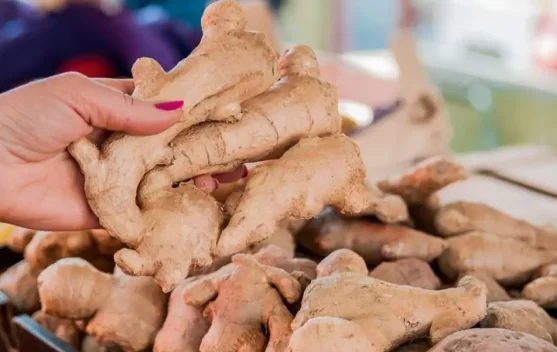 Manfaat Jahe Merah Untuk Kesehatan