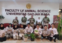 Pakan Hijauan Ternak Bernutrisi Tinggi Inovasi Fapet UGM