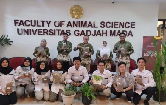 Pakan Hijauan Ternak Bernutrisi Tinggi Inovasi Fapet UGM