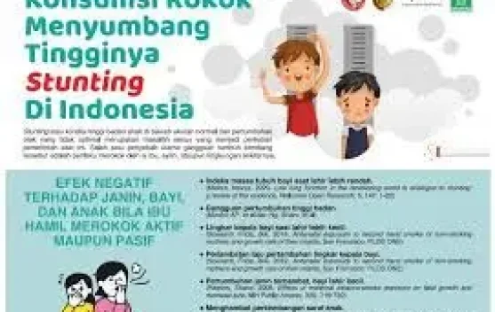 Rokok Penyebab Tingginya Angka Stunting Di Tarakan