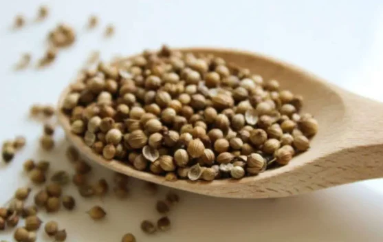 Menakar Manfaat Ketumbar bagi Kesehatan Jantung