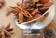 Inilah Ragam Manfaat Bunga Lawang 