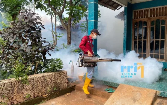 Sepanjang 2025, Dinkes Tuban Catat 880 Kasus DBD 