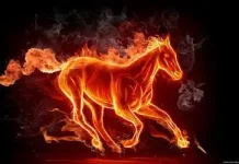 Shio Kuda Api 2026: Tahun Penuh Tantangan