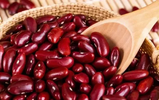 Ini Manfaat Kacang Merah bagi Kesehatan Tubuh