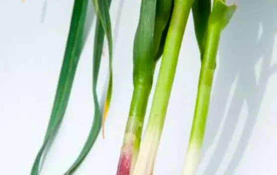 Mengenal Manfaat Batang Bawang 