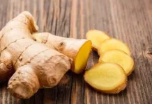 Mengenal Manfaat Goraka